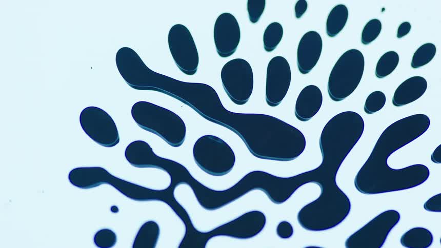 Dark blue liquid droplets moving in unison over a white surface