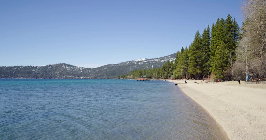 People with pet dogs on the shoreline of a lake near the pine trees on the mountain