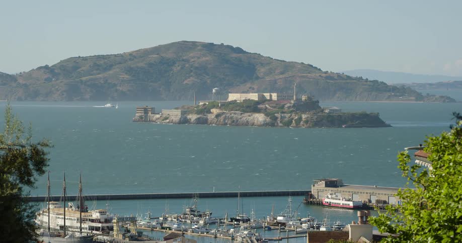 A bird flies across the water near alcatraz