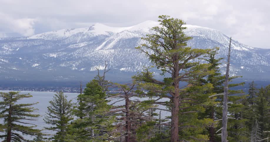 The lake is in between the forest and mountains