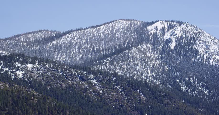 Trees on a snow covered mountain