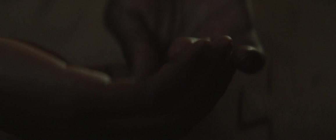 Two hands are held out cupped together