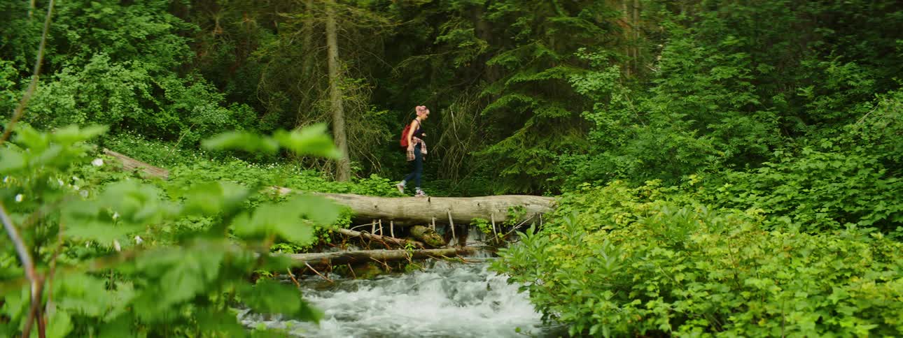 A woman crosses the stream in the forest