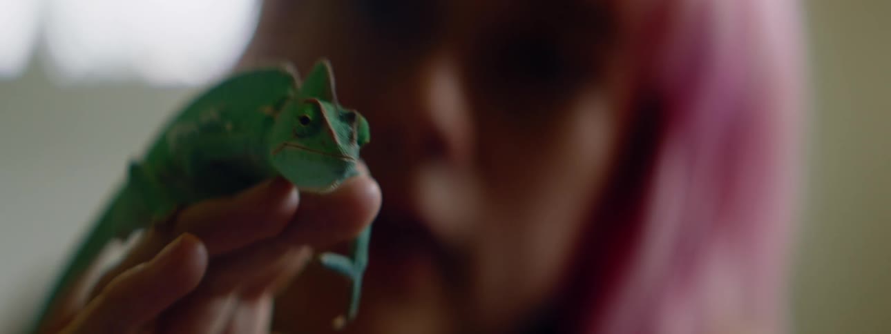 A teenage girls with her pet amphibian crawling on her hand