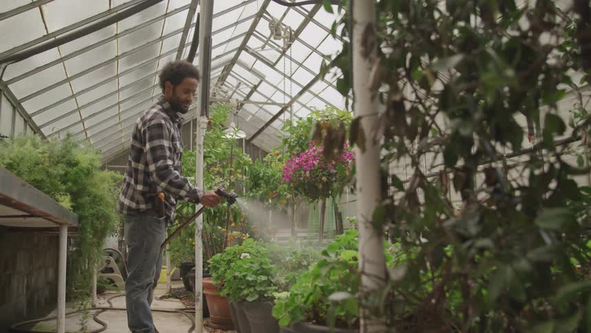 A man with a hose in a greenhouse watering plants with a table behind him