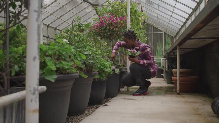 A woman squatting down next to a row of potted plants and trees in a greenhouse digging to plant