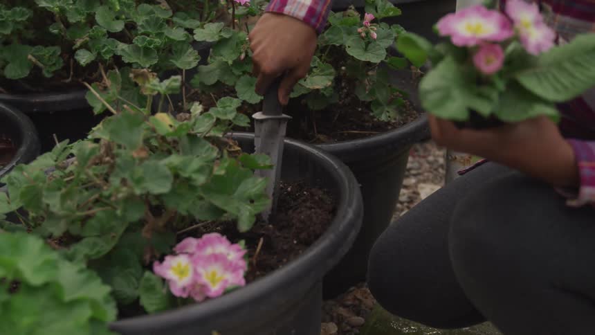 A person uses a spade to plant flowers on the dark soil in a vase in a garden