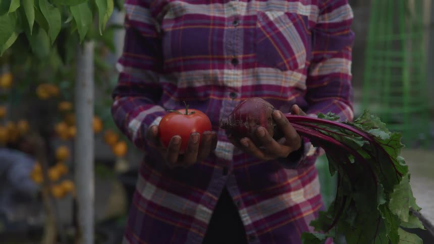 A person standing holding an apple and a radish