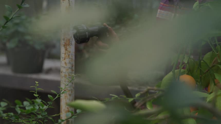 A person holds a garden hose watering plants