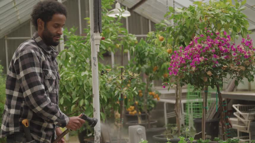A man watering plants in a greenhouse