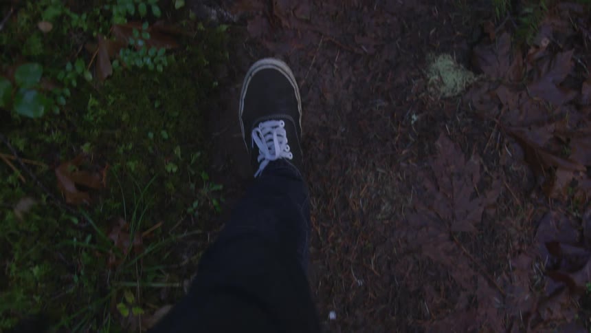 A person is walking outdoors surrounded by nature