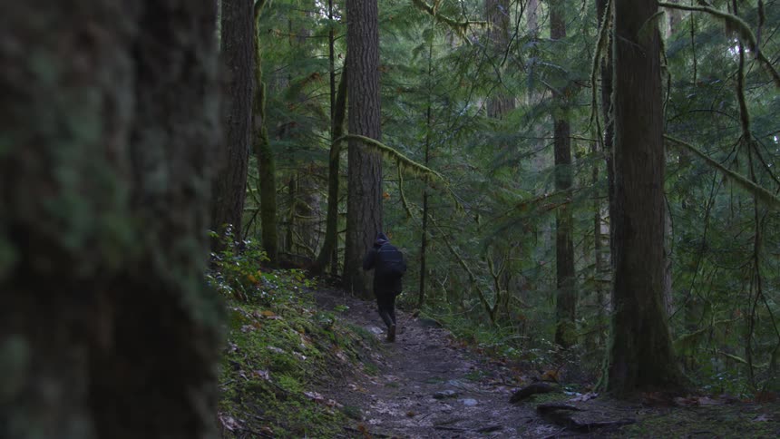 Aperson hikes along a stone trail in the woods