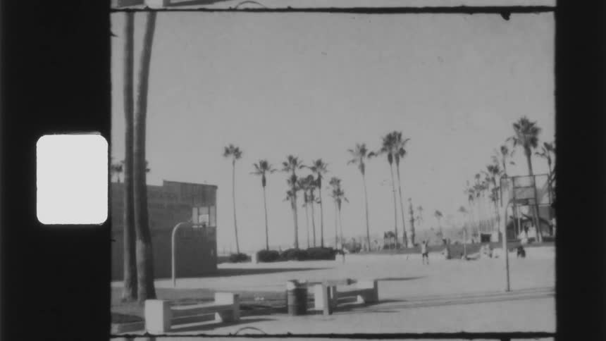 People play basketball on court in park near palm trees