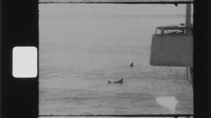 A person and small boat bob in the ocean waves on a gray day