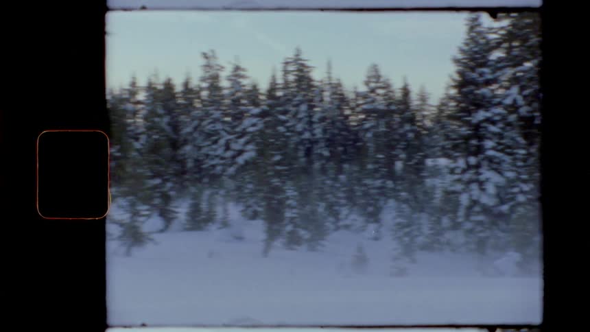 A snow covered forest on vintage film
