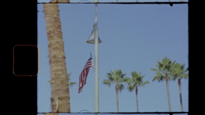 An american flag near palm trees in the daytime