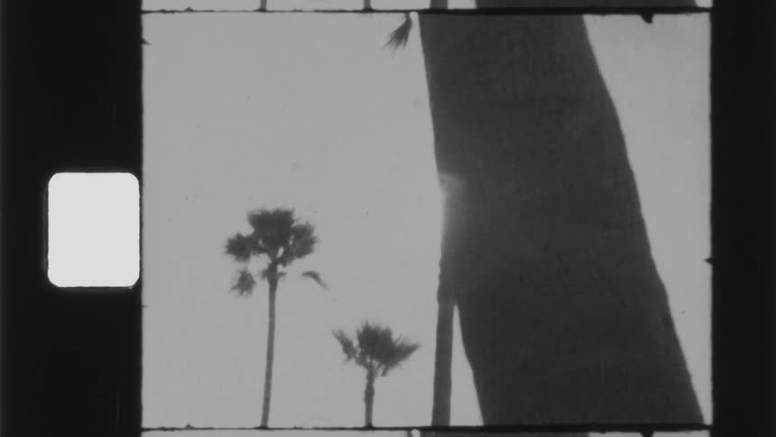 Footage of a beach is displayed during the day