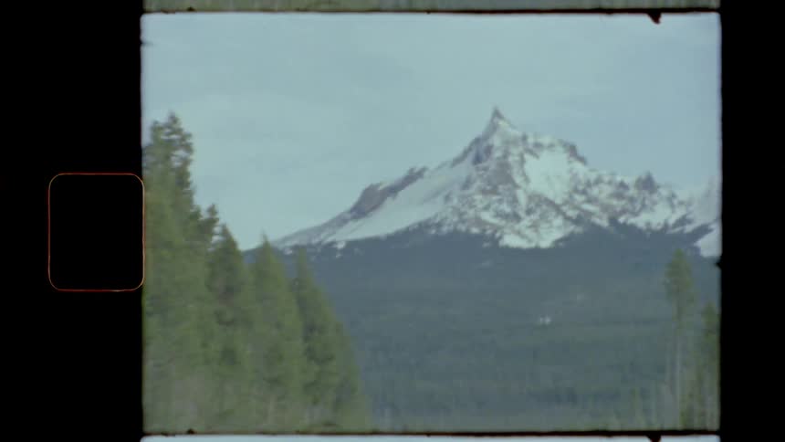 A very tall mountain is past the dense forest