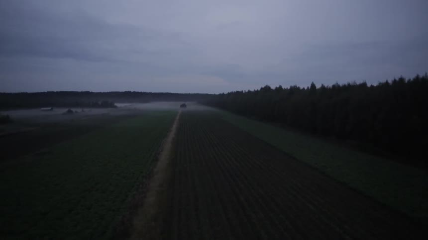 A dark road has a forest on the side