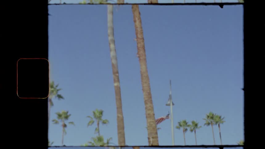 An american flag near palm trees on a clear summer day