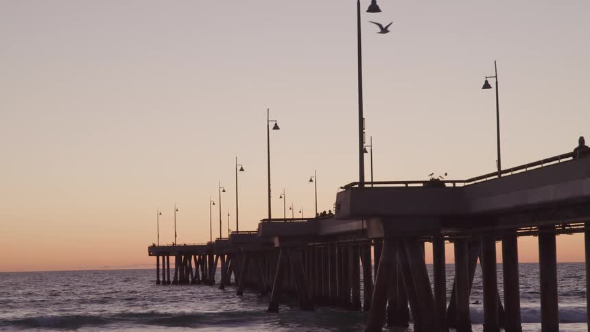 Seagull flies over a pier sitting in the ocean
