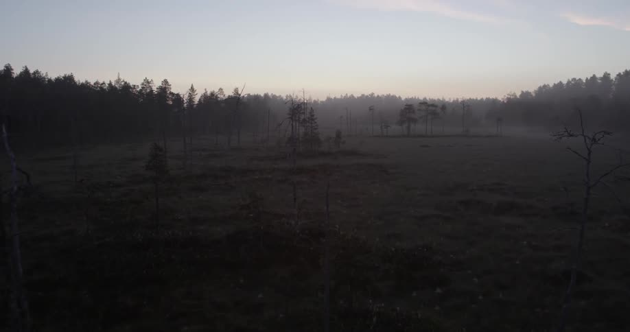 Aerial view of a large field filled with fog