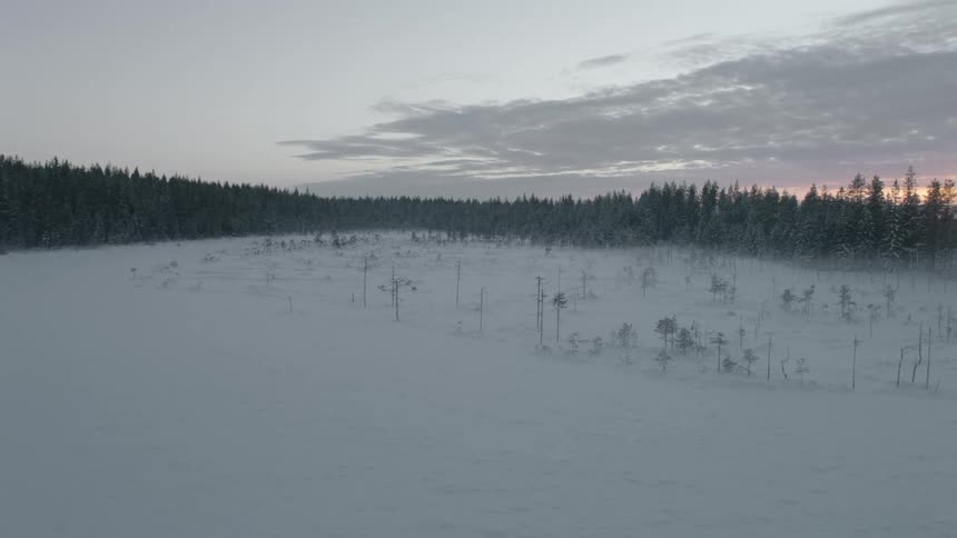 Snow
