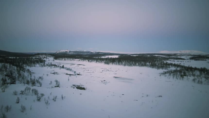 Snow covered ground with grass poking through