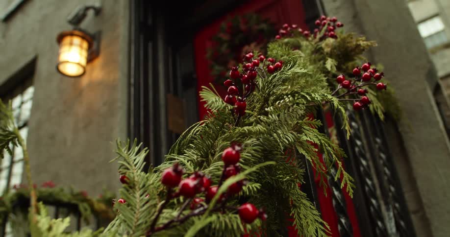 A staircase with a handrail with plants and berries with a door in front of a building