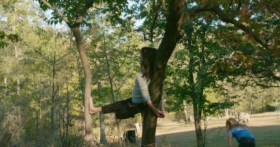 Girl balance between trees while another jumps and runs near woods