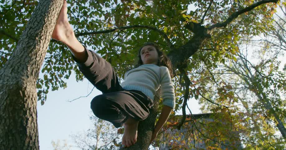 A little girl in a tree outside a home