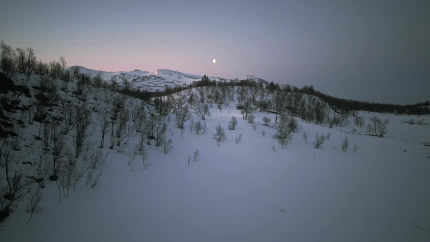 Aerial view of a field leading to mountains covered in snow