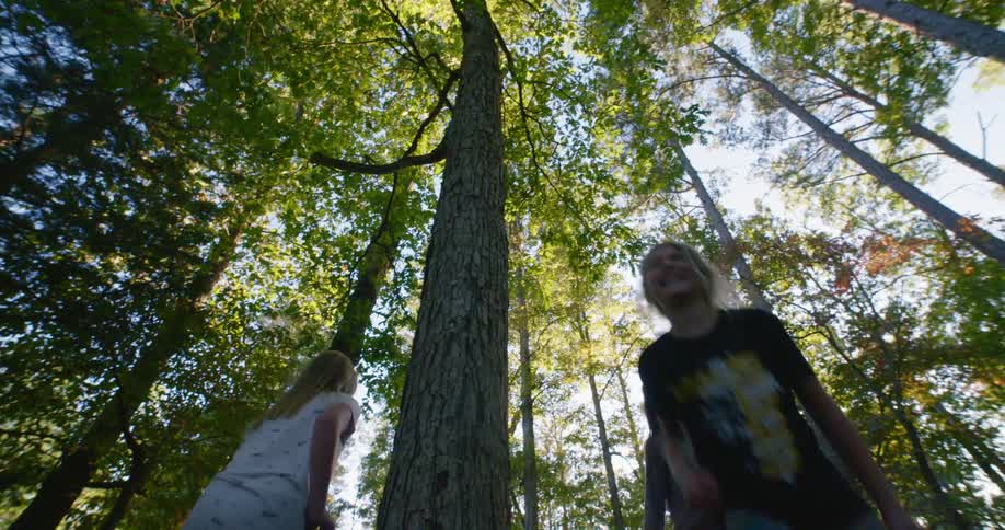 A group of children playfully circle a tree in a woodland on a sunny day