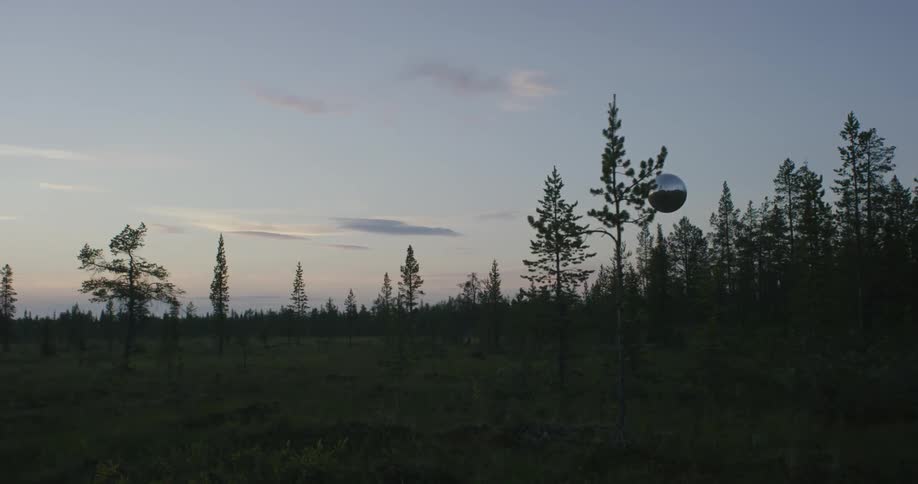 A silver glove is floating above some trees