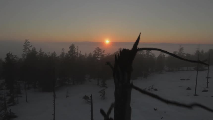 The sun is setting in the distance behind the forest