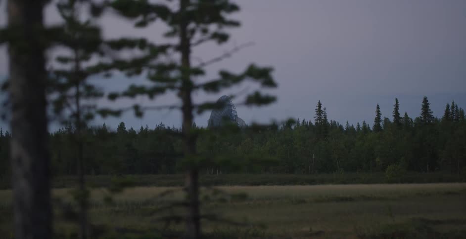 Moving past a large field with a forest and satellite in the distance