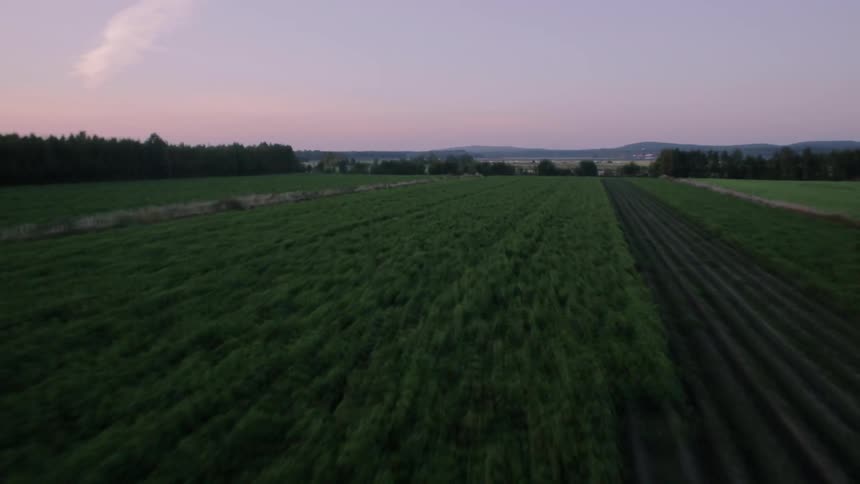 Fast moving over a long grass field then raising into the air