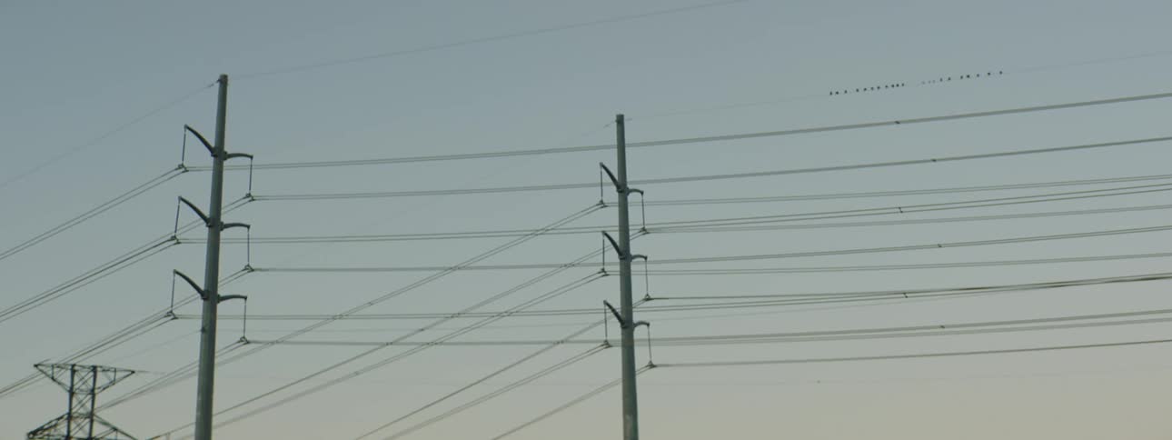 A group of transmission towers holding numerous cable under a clear sky