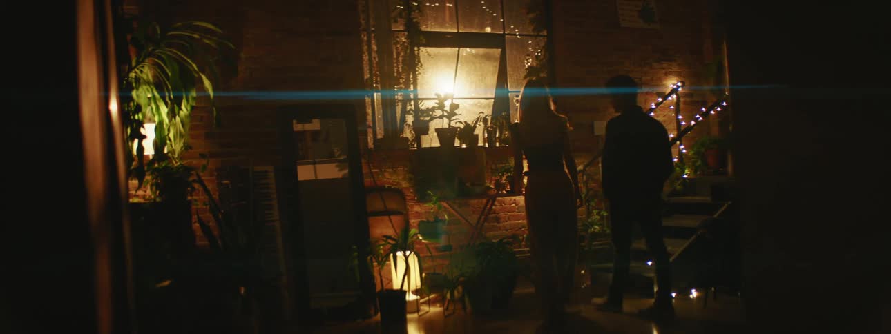 Young couple walk into a dimly lit room to see the plants on the window