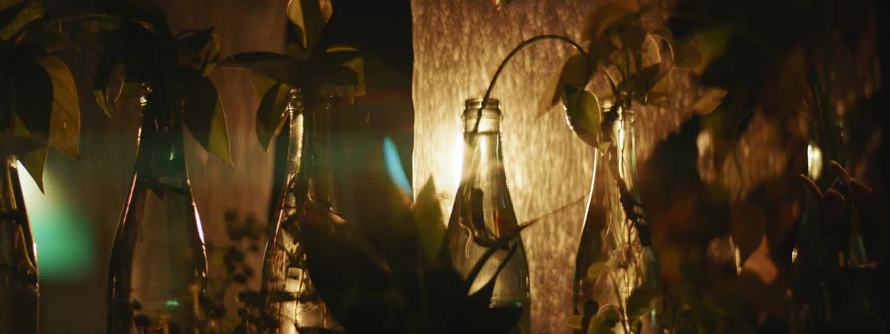 A wall with bottles of plants and herbs under lighting
