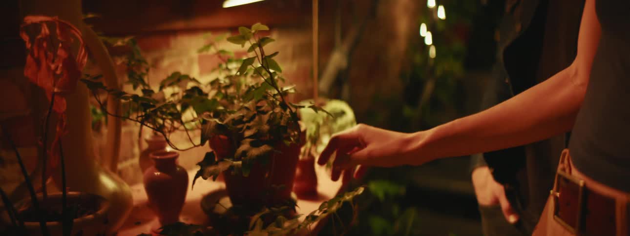 A woman looks at plants in planters as a man follows behind her