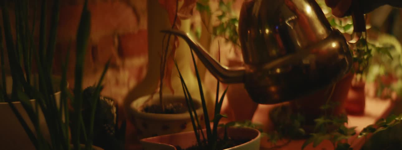 A person using a kettle to water plants and herbs on a shelf