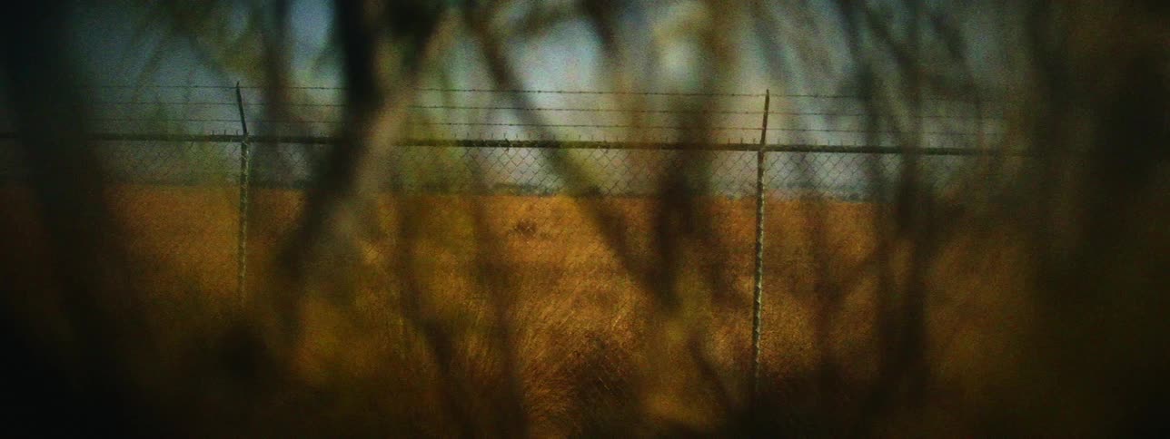 Through the vines is a barb wire fence