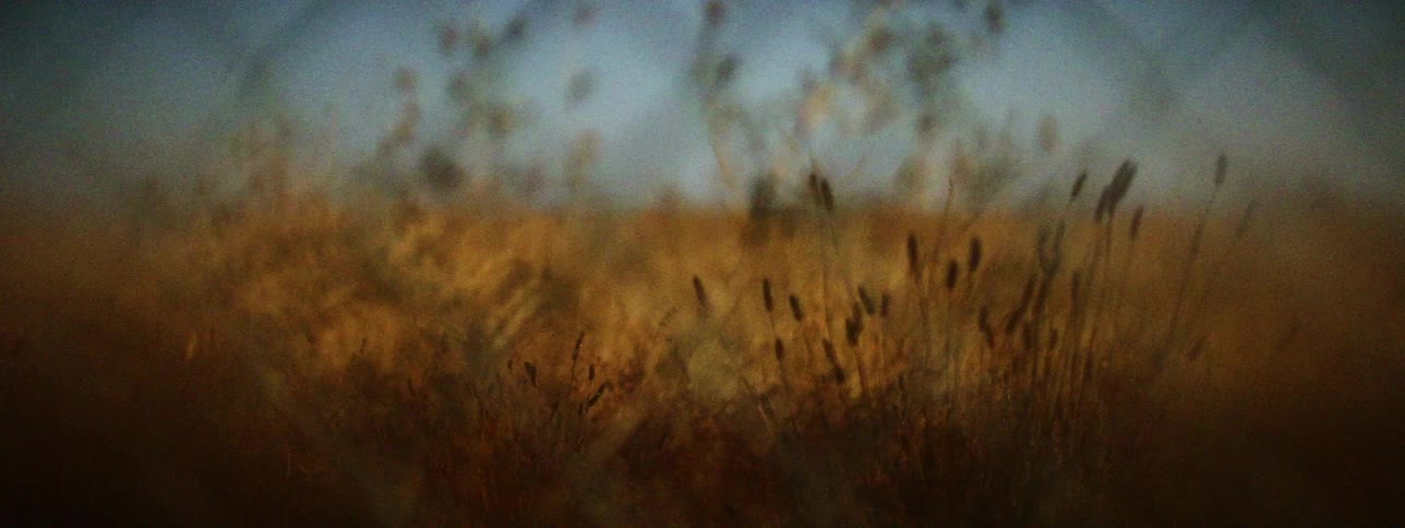 A fence in front of a grassland