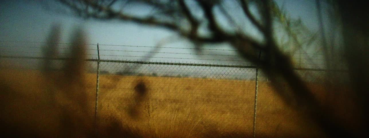 Wired fence with barbed wire on top in front of the yellow dry grass