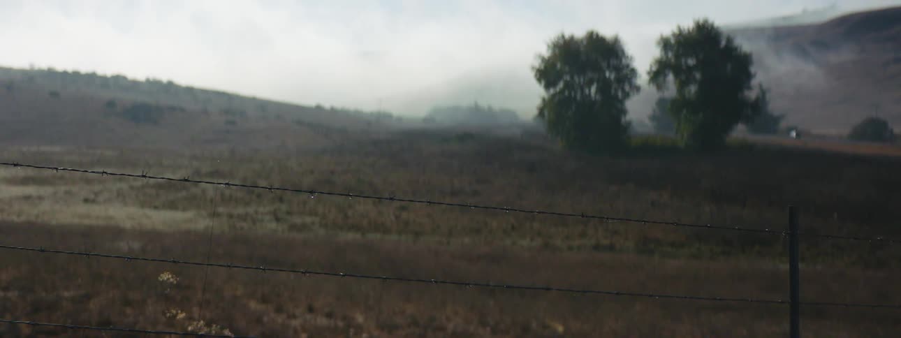 A grassland with a vehicle driving in the far distance