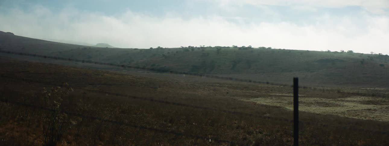 A barbed wire fence with wild flowers grass and hills