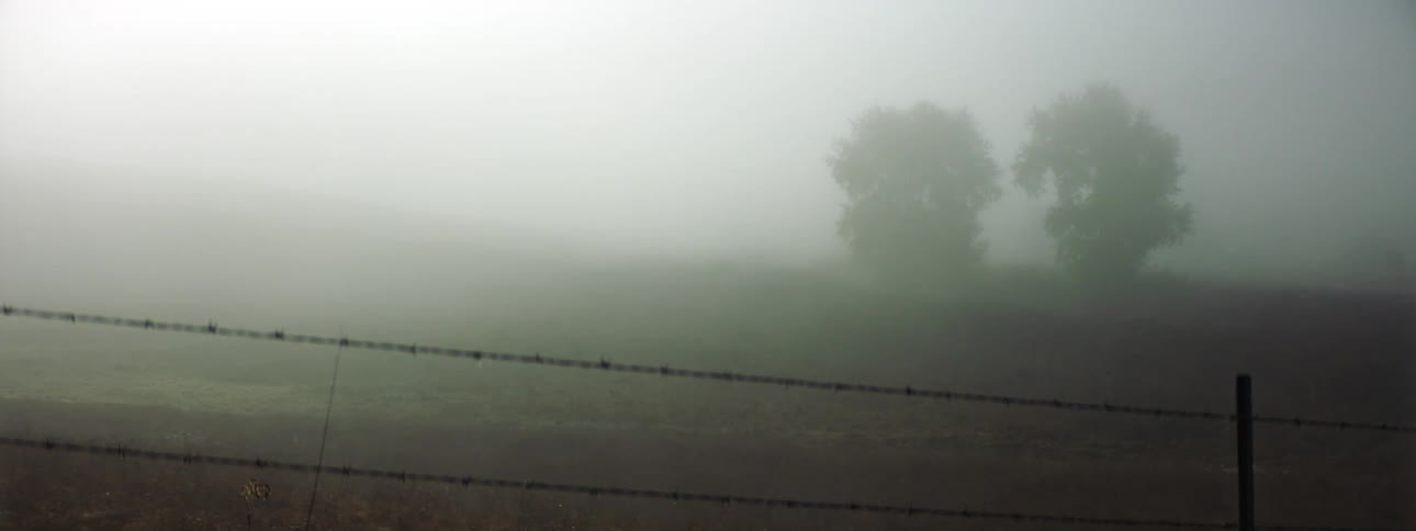 A barbed wire fence in a rural field on a foggy day