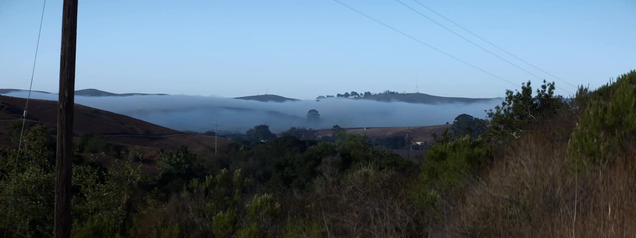 Landscape view of grasslands