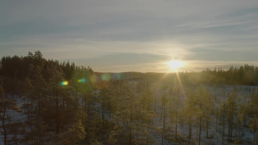 The sun is setting in the distance past a forest